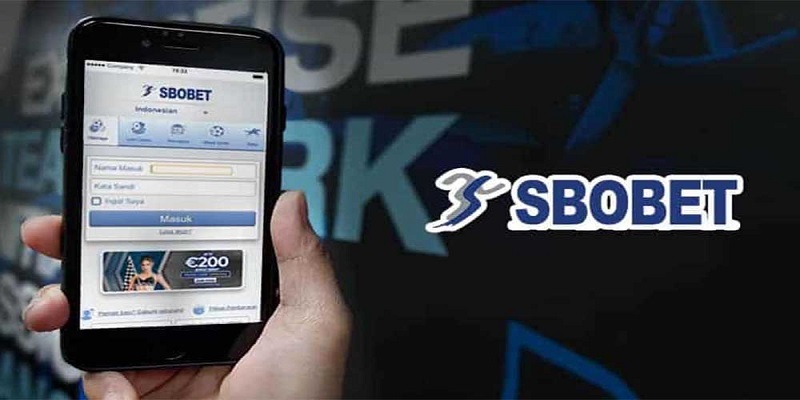 Tìm hiểu Sbobet TK88 là gì?